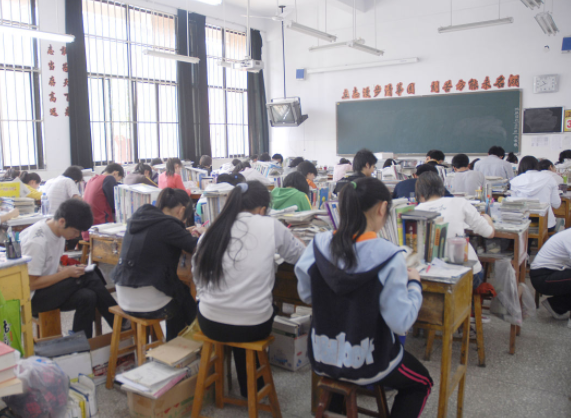 小小设计师用废旧纸盒搭建未来之家让思维的种子在现实土壤中扎根 小小设计师用废旧纸盒搭建未来之家让思维的种子在现实土壤中扎根